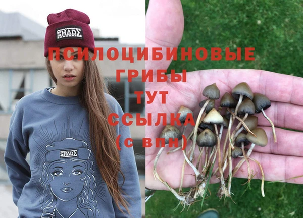 2c-b Костерёво