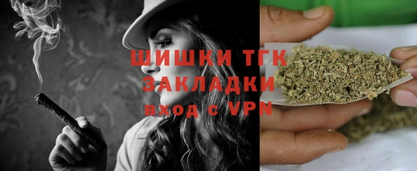 прущая мука Корсаков